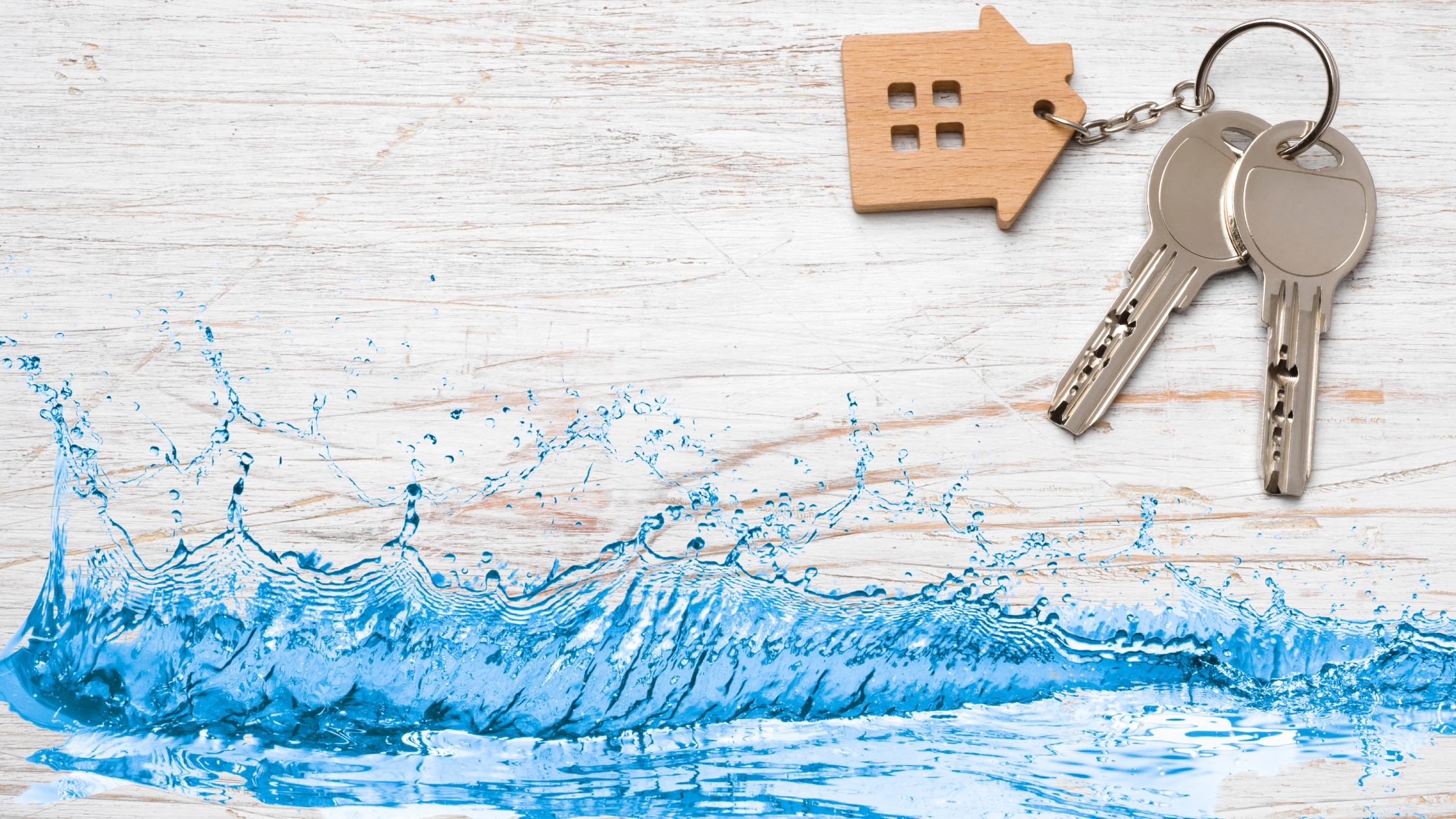 Trial Victory: Failure to Disclose In Sale of Real Estate