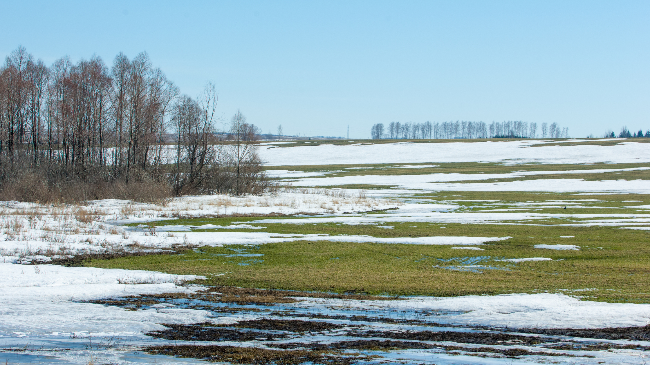 Temps Up, Spirits Up!